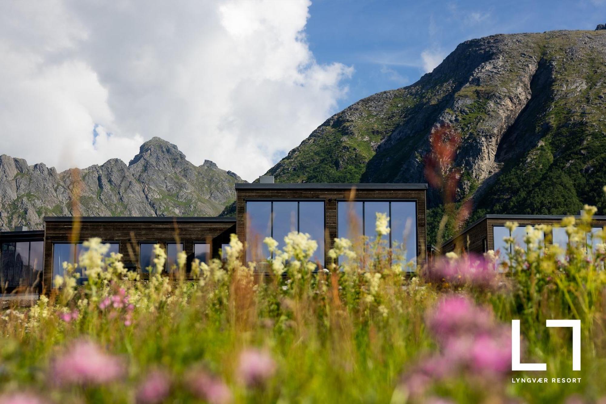 New High End Cabin, Lofoten * Lyngvaeret